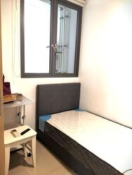 Parc Life (D27), Condominium #529354471